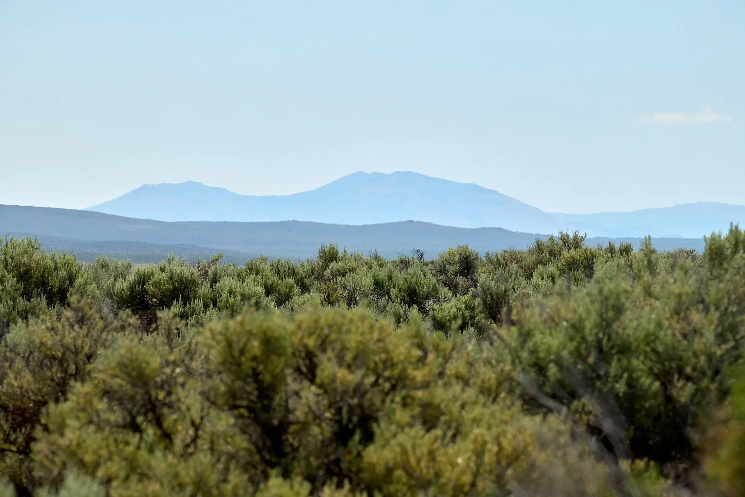The Harney Basin landscape with mountains in the background.