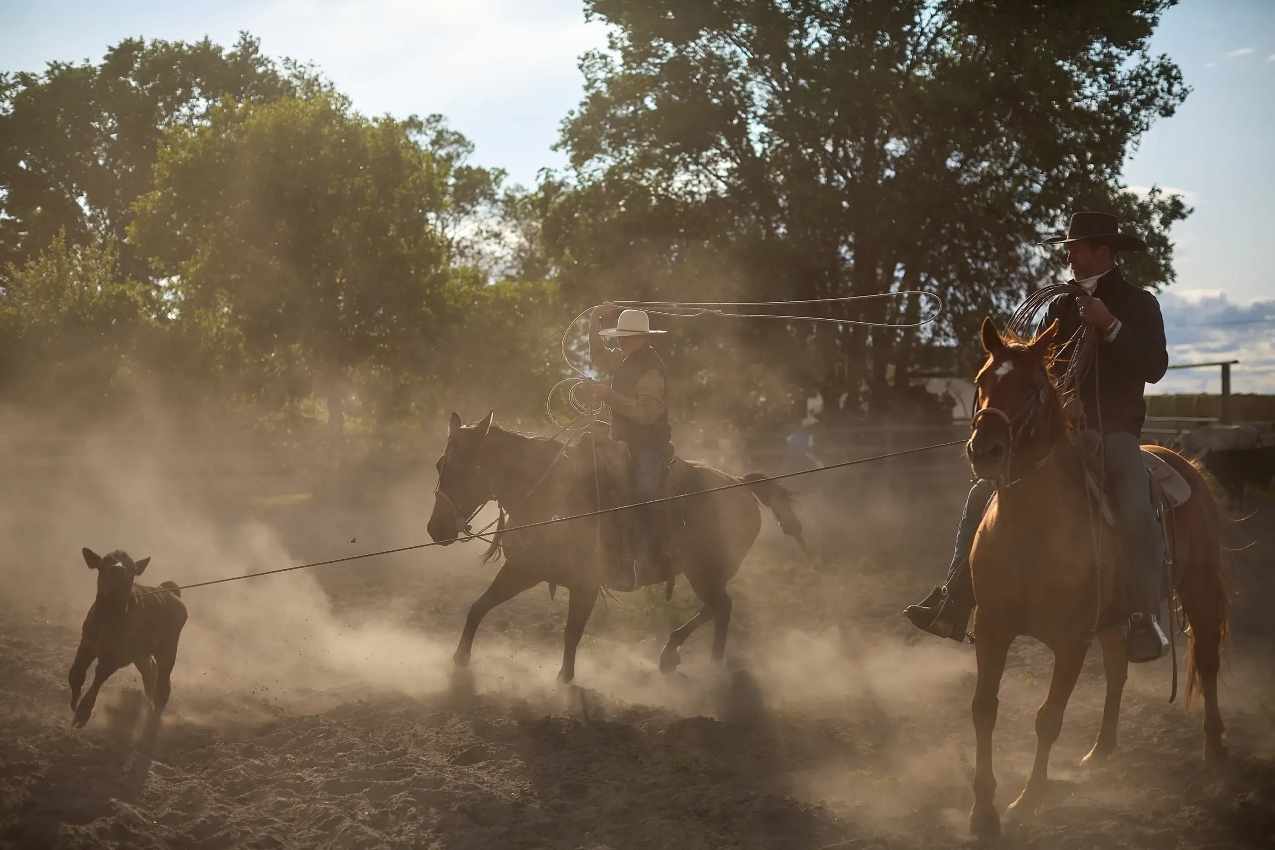 Ranchers roping a calf in Harney County.
