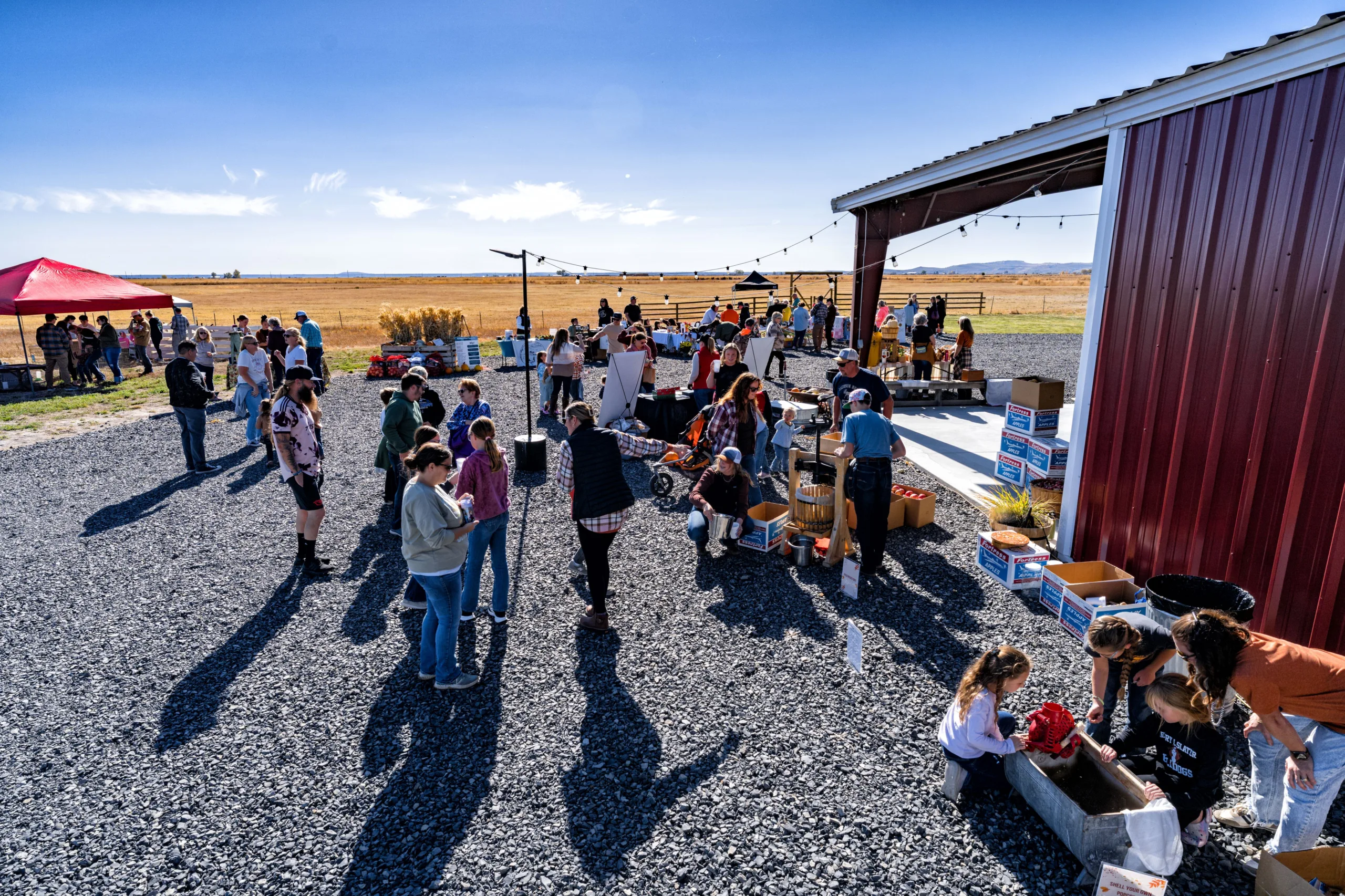 A group outside at a festival.