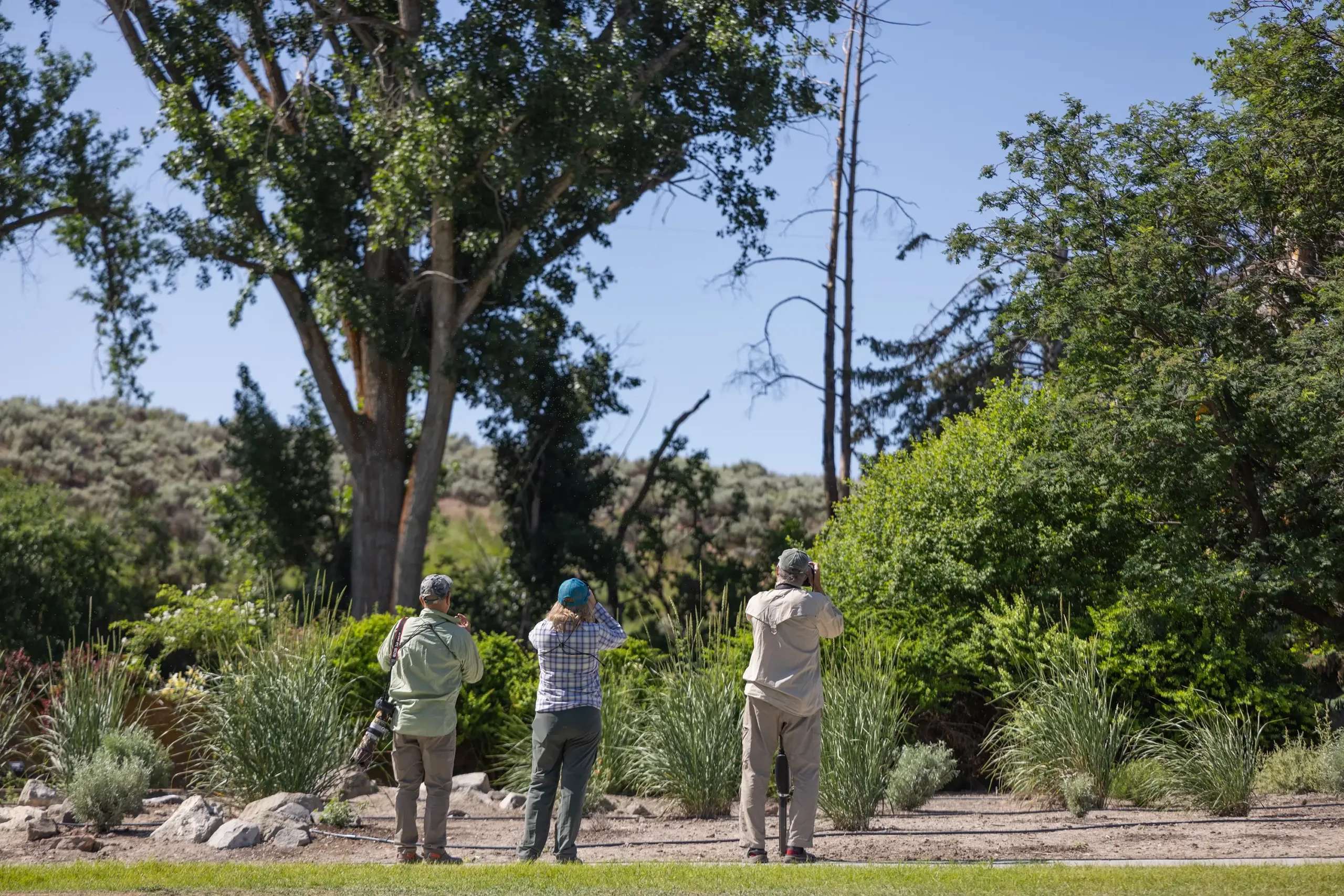 A group of three people looking for birds